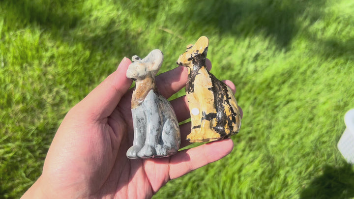 Picture Stone Sphynx Cat