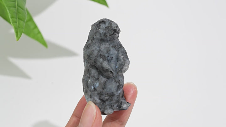 Natural Crystal Standing Groundhog Carving