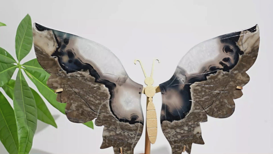 Unique,Natural Crystal Volcanic Agate Butterfly Wing With Stand