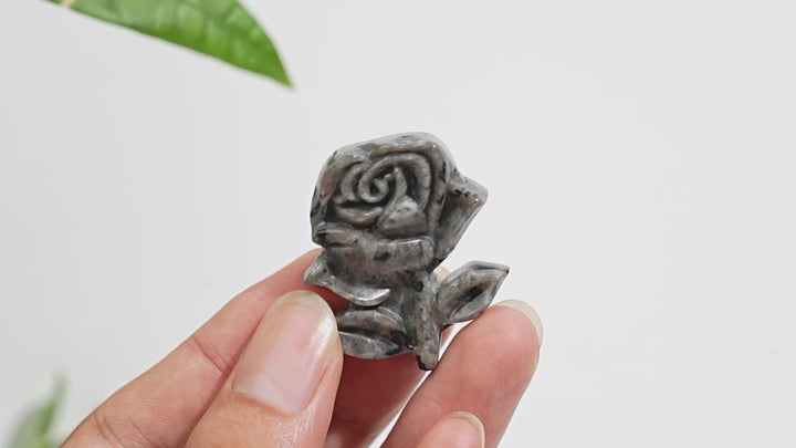 Natural Crystal Yooperlite Rose Carving