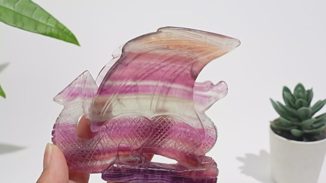 Unique,A Slightly Imperfect Natural Fluorite Winged Dragon Carving