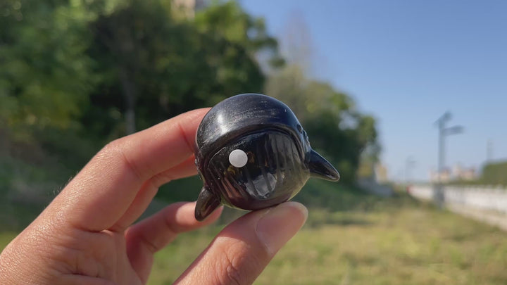 A Slightly Imperfect Natural Crystal Carving Silver Obsidian Dolphin