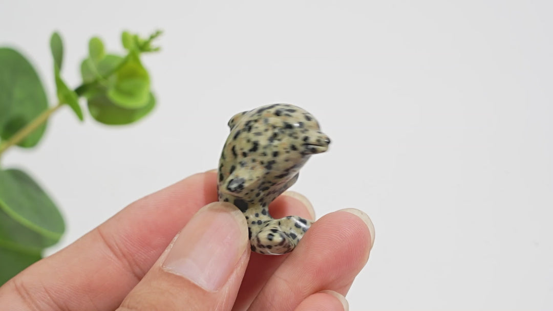 Natural Crystal Mixed Material Mini Dolphin Carving