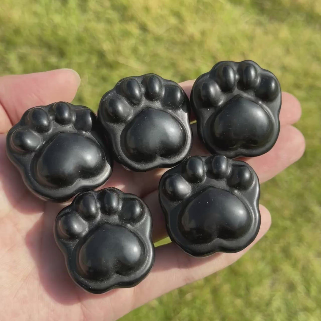 Natural Obsidian Cat Paw Sculpture