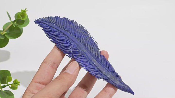 Unique,Natural Crystal Carving Lapis Lazuli Feather