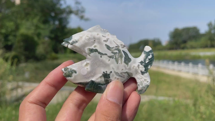 A Slightly Imperfect Natural Crystal Carving Piranha