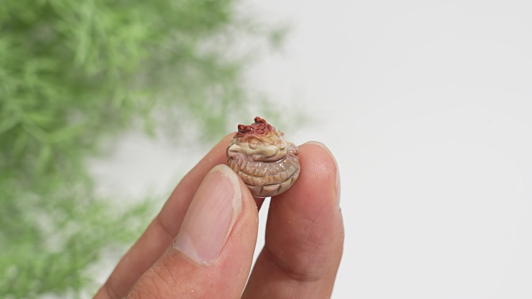 Natural Crystal Alashan Agate Whimsical Dragon Egg Carving
