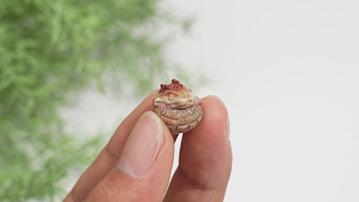 Natural Crystal Alashan Agate Whimsical Dragon Egg Carving
