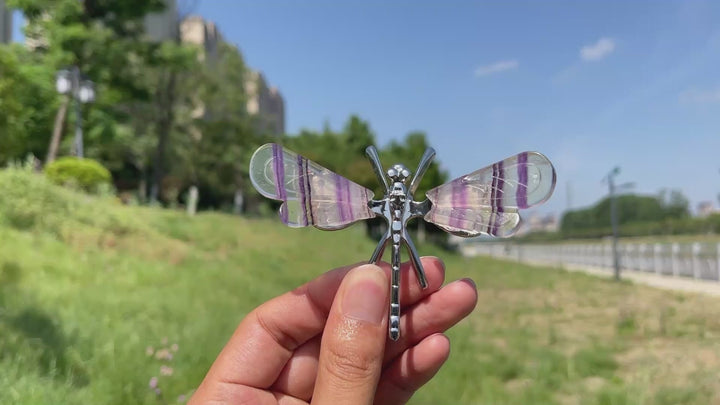 Natural Fluorite Dreamy Dragonfly