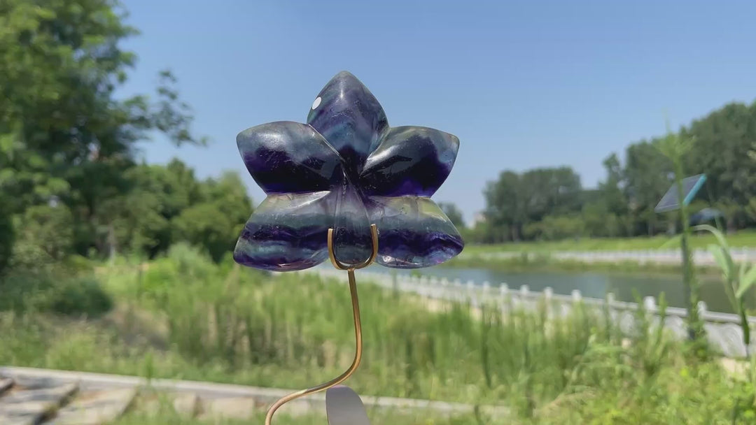 A Slightly Imperfect Natural Crystal Fluorite Orchid With Stand