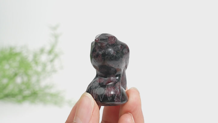 Natural Crystal Mystical Raven Carving