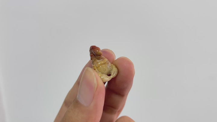 Natural Crystal Alashan Agate Scorpion