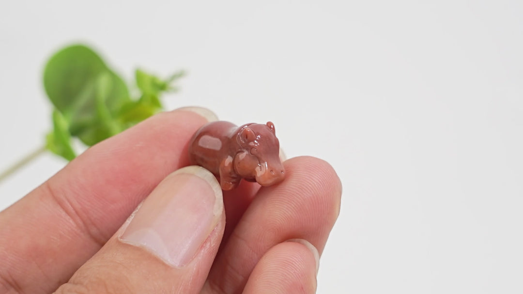 Natural Crystal Lovely Carving Alashan Agate Hippo