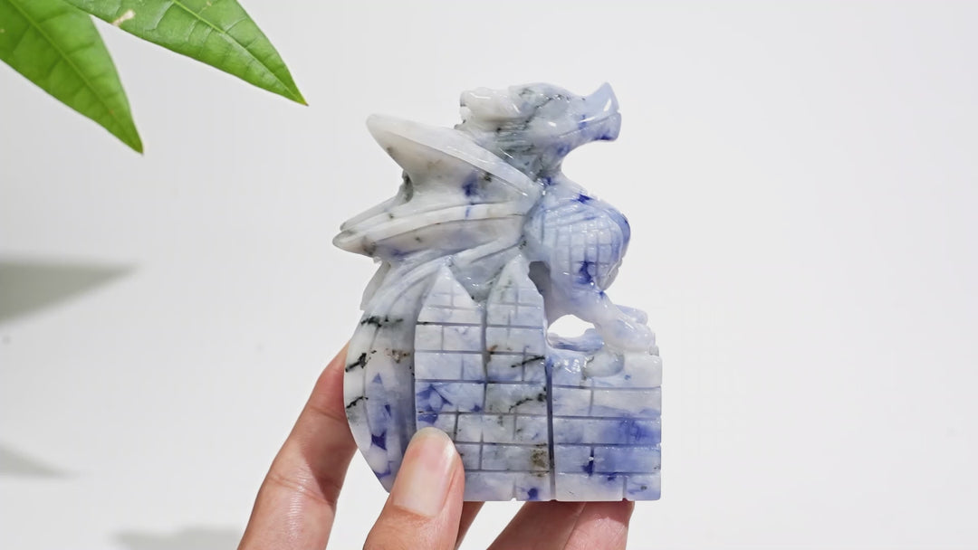 Unique,Natural Crystal Blue And White Porcelain Sodalite Flying Dragon