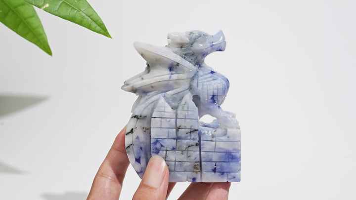 Unique,Natural Crystal Blue And White Porcelain Sodalite Flying Dragon