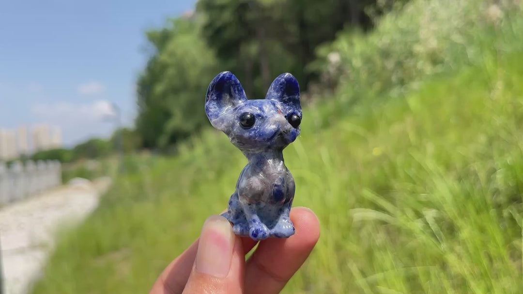 Natural Crystal Adorable Big-Eared Cat Carving