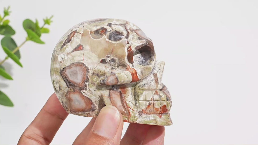 Unique,Natural Money Agate Skull Carving