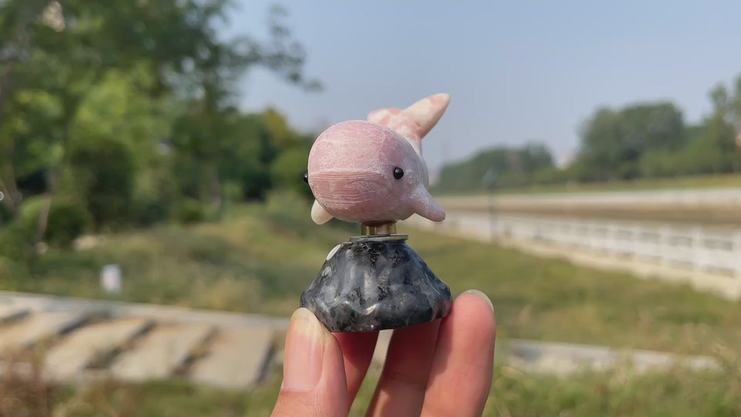 A Slightly Imperfect Natural Crystal Rotating Whale