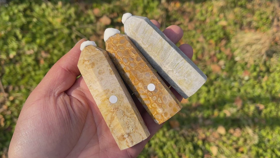 Imperfect,Natural Coral Fossil Point