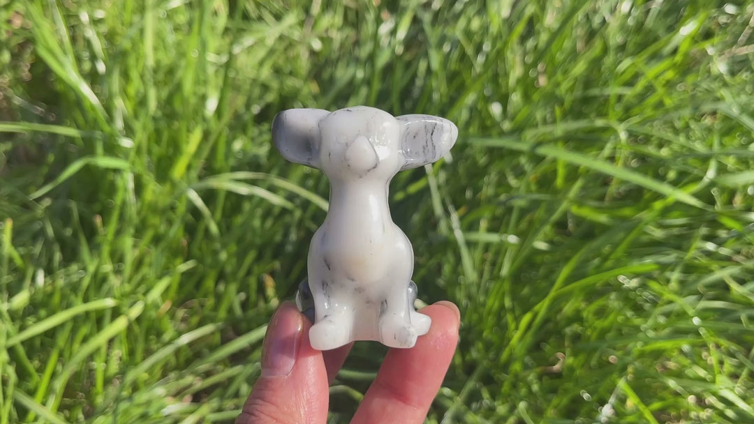 Natural Carving TaiJi Stone Chihuahua