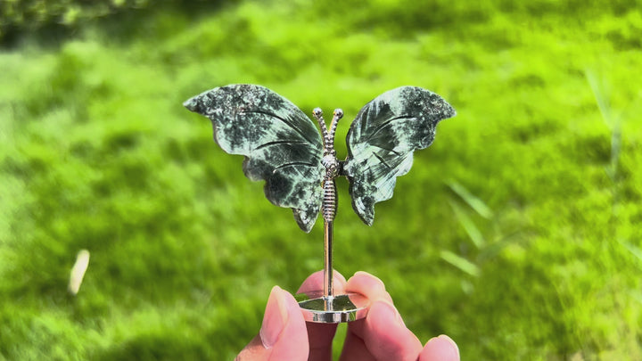 Seraphinite Butterfly Wing