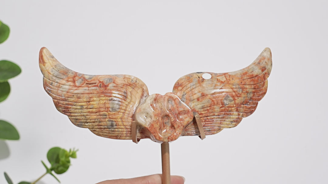 Unique,A Slightly Imperfect Natural Crystal Crazy Agate Cat Paw Wing