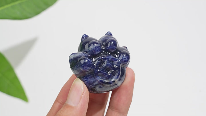 Natural Crystal Coin Cat Paw Carving