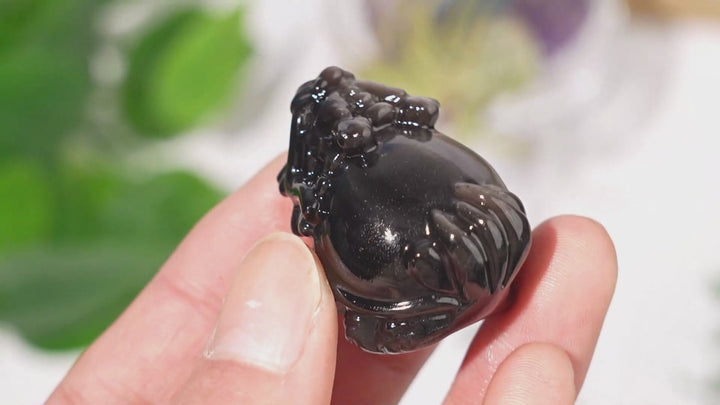 Natural Crystal Carving Silver Obsidian Dragon Turtle