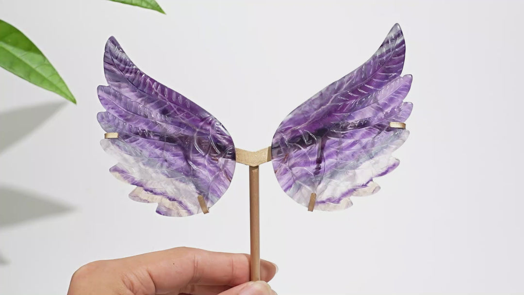 Unique,A Slightly Imperfect Natural Crystal Fluorite Angel Wing