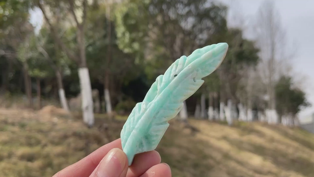 Natural Crystal Carving Hemimorphite Feather