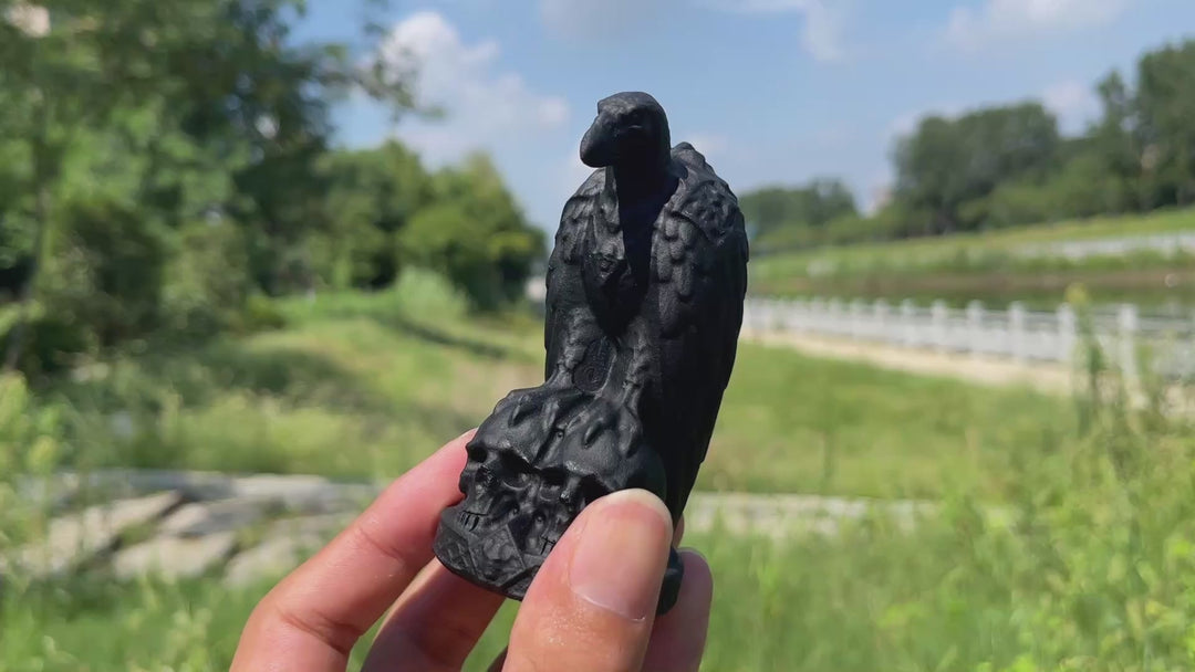 Natural Crystal Carving Black Obsidian Vulture