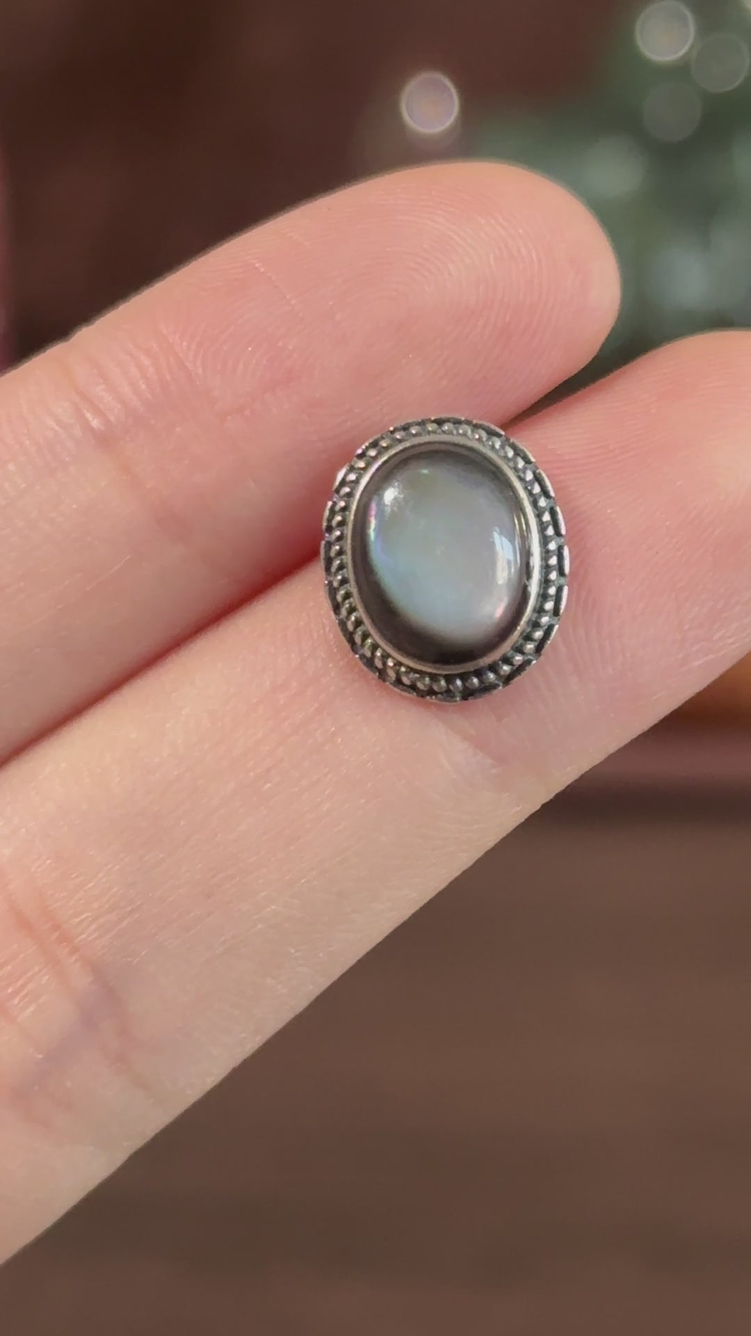 Black Shell Stud Earrings
