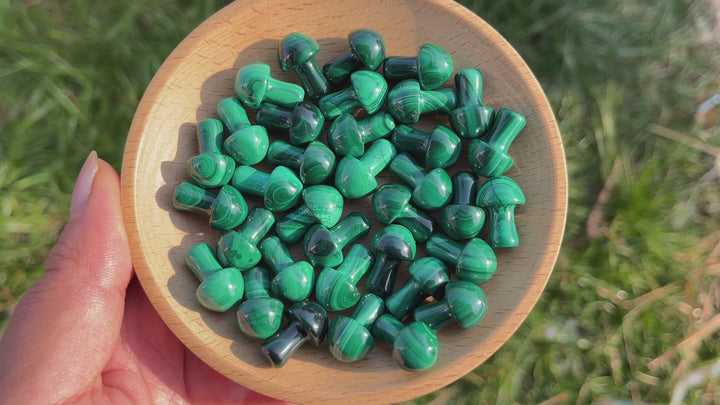 Natural Crystal Malachite Mushroom