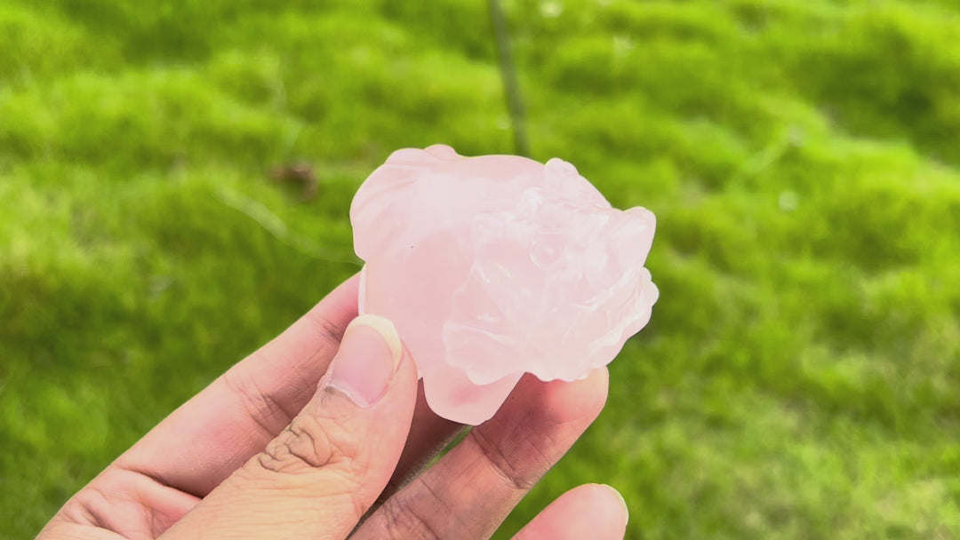 Rose Quartz Dragon Turtle