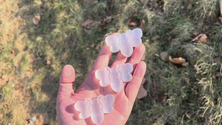 Natural Crystal Carving Selenite Bee