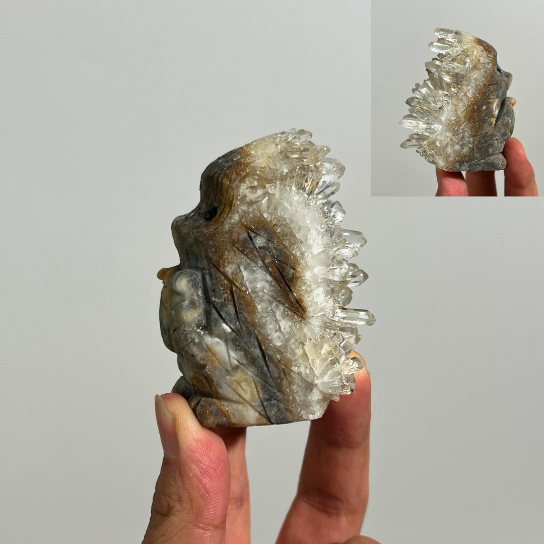 Chrysanthemum Quartz Cluster Hedgehog