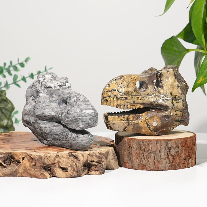 Unique,Natural Carving Dinosaur Skull