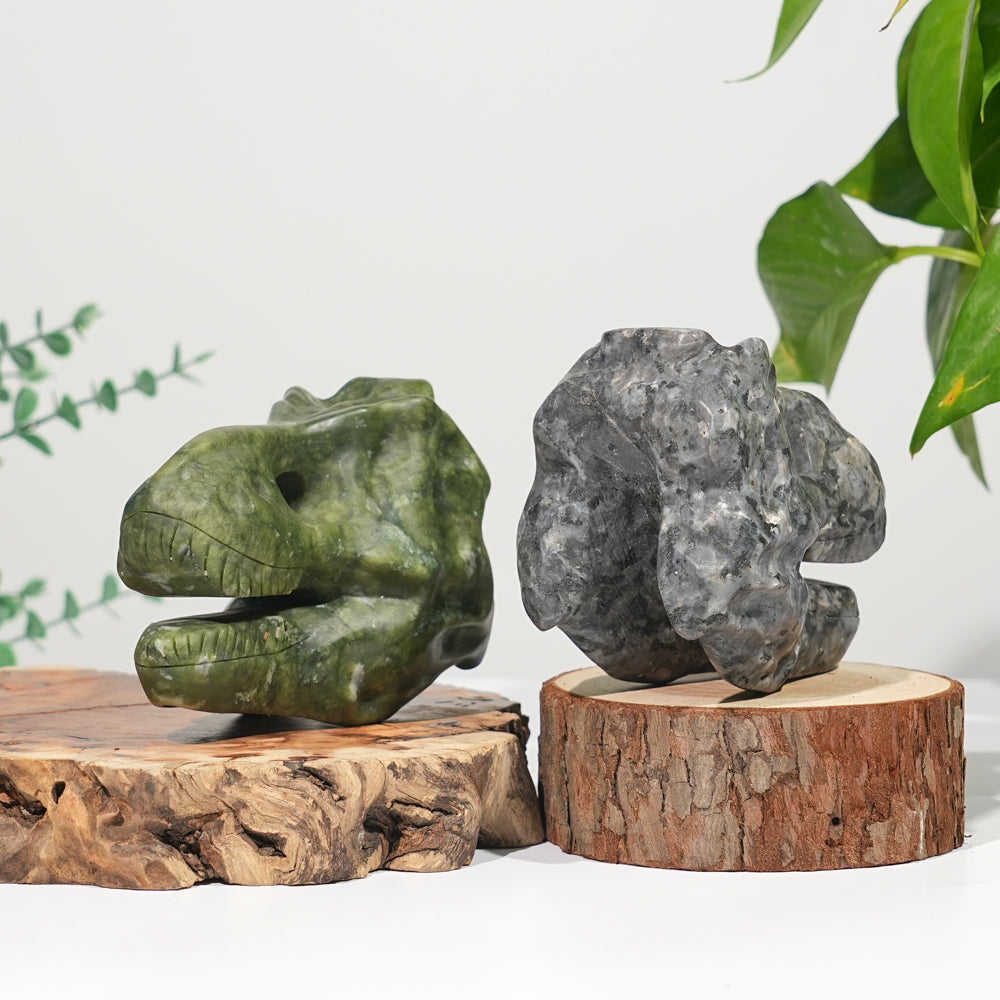 Unique,Natural Carving Dinosaur Skull