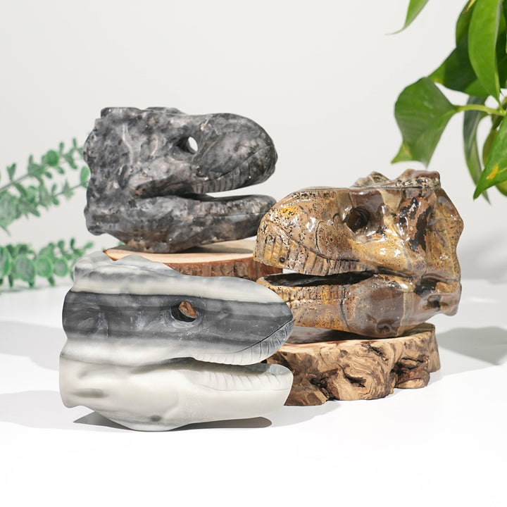 Unique,Natural Carving Dinosaur Skull