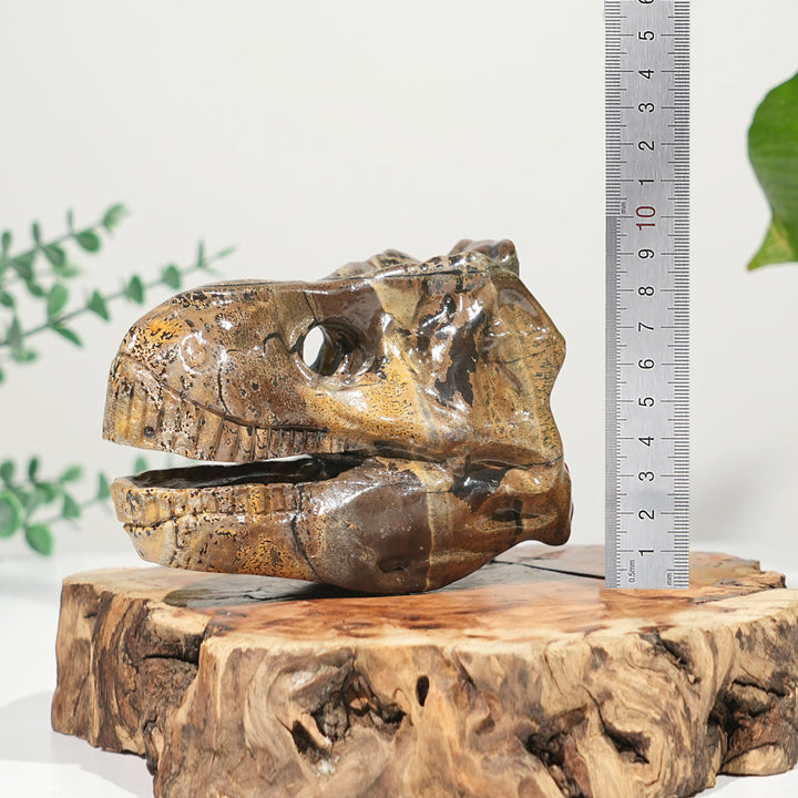 Unique,Natural Carving Dinosaur Skull